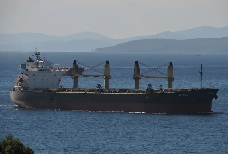 GREAT SHENG WEN Bulk Carrier IMO 9244295 photo 3