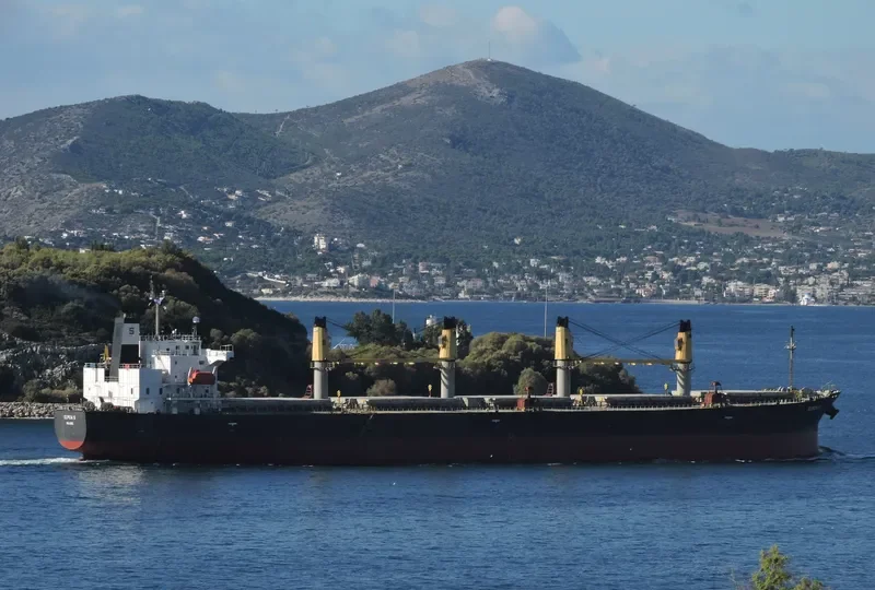 GREAT SHENG WEN Bulk Carrier IMO 9244295 photo 5