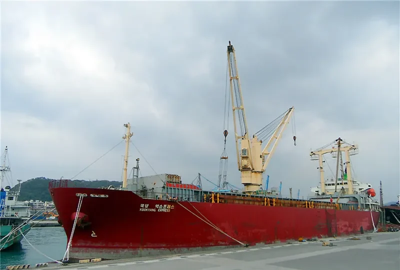 KOOKYANG EXPRESS General Cargo IMO 9244312 photo 8