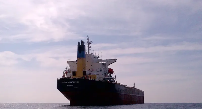 XIN YU Bulk Carrier IMO 9244362 photo 2