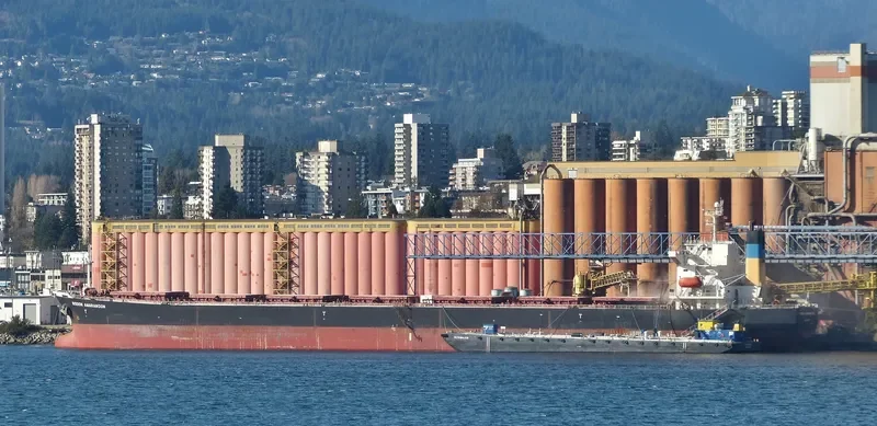 XIN YU Bulk Carrier IMO 9244362 photo 8