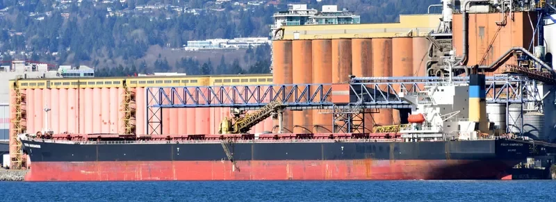 XIN YU Bulk Carrier IMO 9244362 photo 9