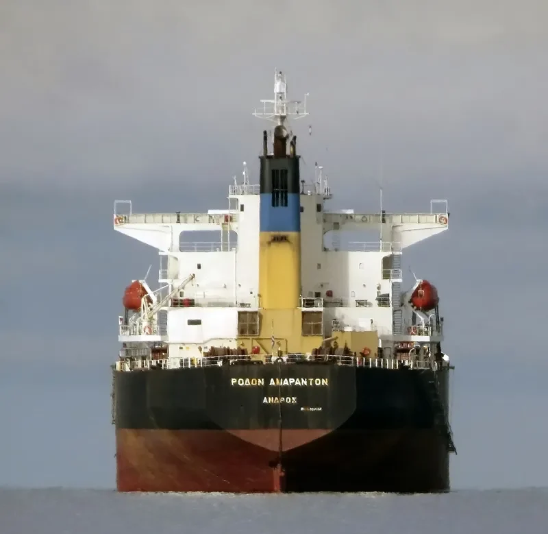XIN YU Bulk Carrier IMO 9244362 photo 10