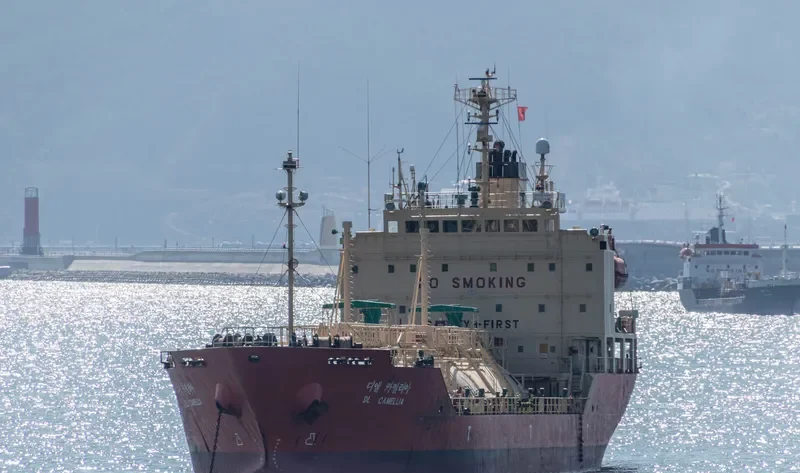 DL CAMELLIA General Cargo IMO 9244403 photo 6