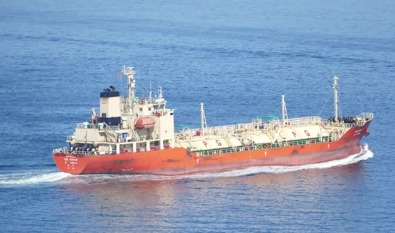 DL CAMELLIA General Cargo IMO 9244403 photo 8