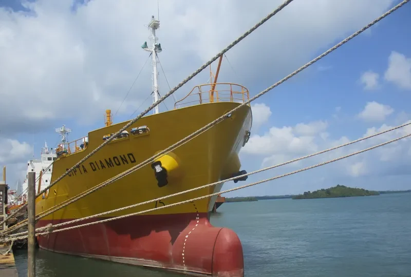CIPTA DIAMOND General Cargo IMO 9244415