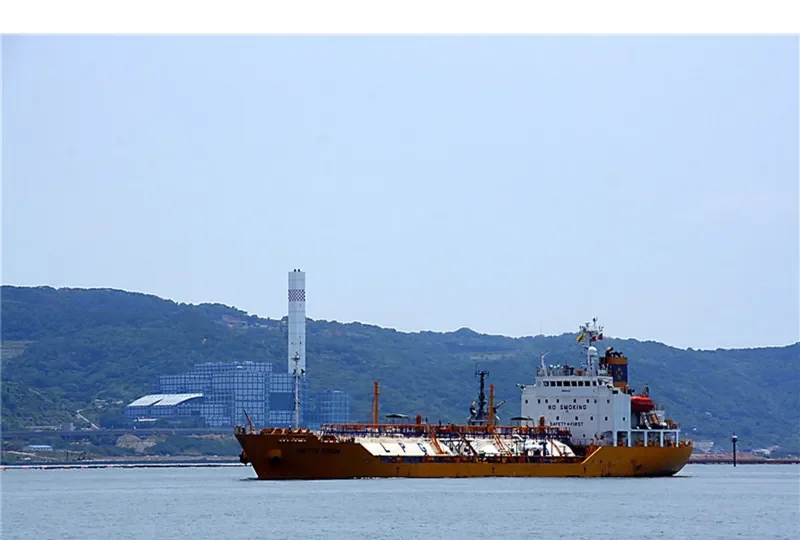 CIPTA DIAMOND General Cargo IMO 9244415 photo 7