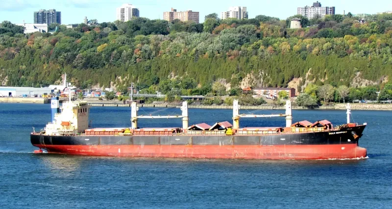 BULK NEWPORT Bulk Carrier IMO 9244611 photo 2