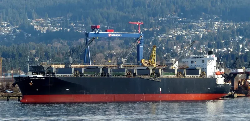 CRIMSON SATURN Bulk Carrier IMO 9244685 photo 2