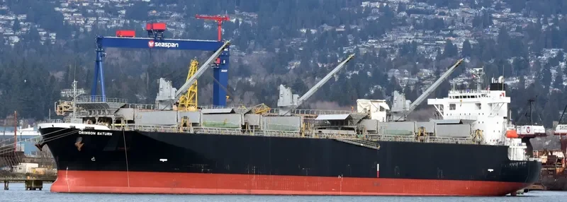 CRIMSON SATURN Bulk Carrier IMO 9244685 photo 4
