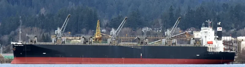 CRIMSON SATURN Bulk Carrier IMO 9244685 photo 5