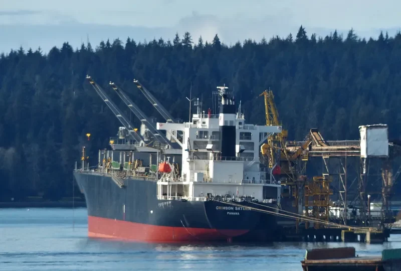 CRIMSON SATURN Bulk Carrier IMO 9244685 photo 6