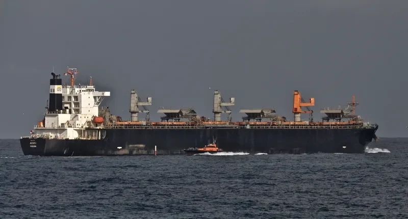 JR SOPHIA Bulk Carrier IMO 9244697 photo 2