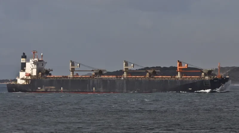 JR SOPHIA Bulk Carrier IMO 9244697 photo 3