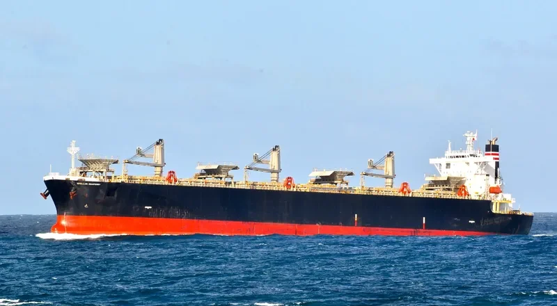 JR SOPHIA Bulk Carrier IMO 9244697 photo 8