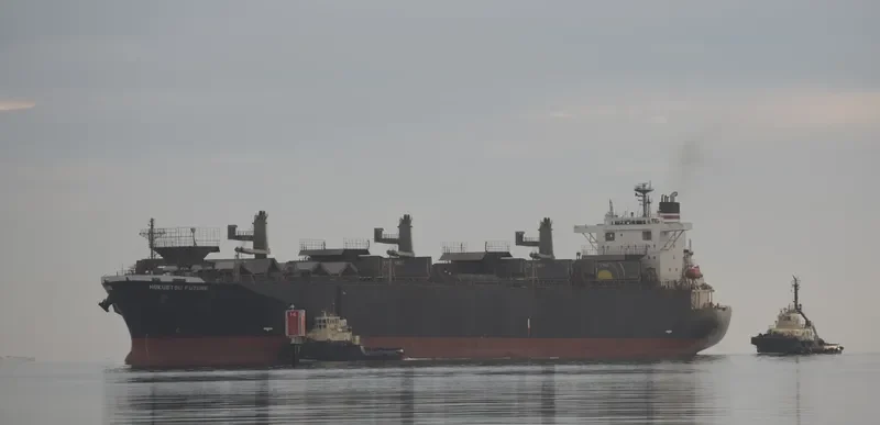 FP FUTURE Bulk Carrier IMO 9244702