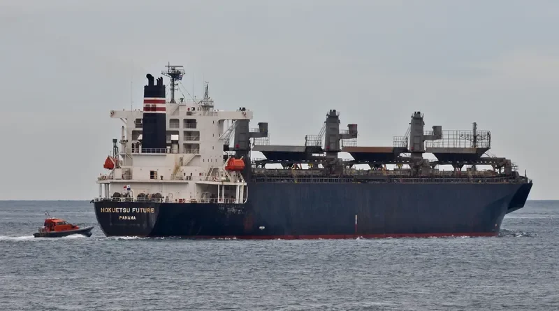 FP FUTURE Bulk Carrier IMO 9244702 photo 4