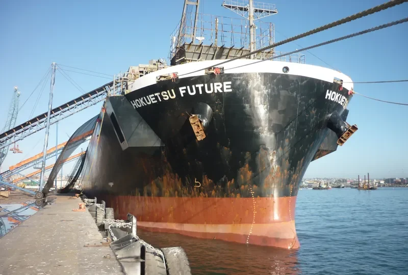 FP FUTURE Bulk Carrier IMO 9244702 photo 6
