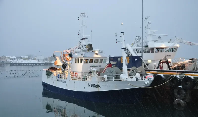SKOTTIND General Cargo IMO 9244740 photo 8