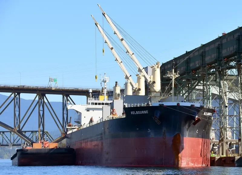 MELBOURNE Bulk Carrier IMO 9244788 photo 4