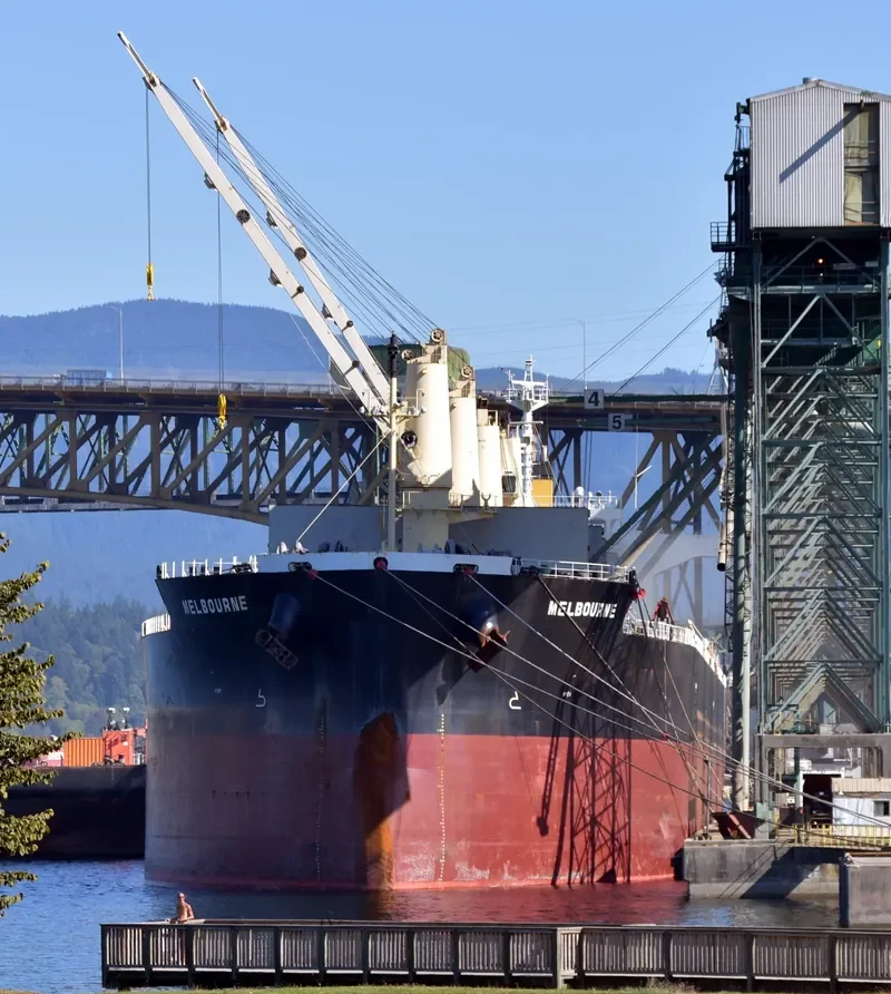 MELBOURNE Bulk Carrier IMO 9244788 photo 5