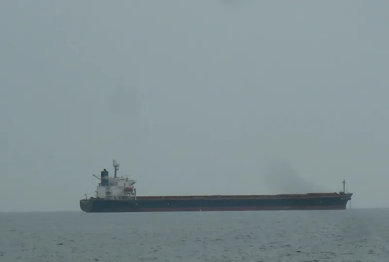 MELBOURNE Bulk Carrier IMO 9244788 photo 9