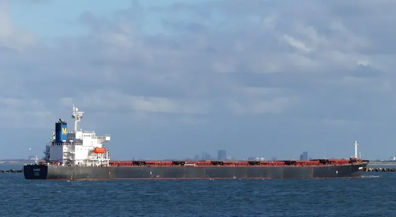 CHOLA TREASURE Bulk Carrier IMO 9244817 photo 2