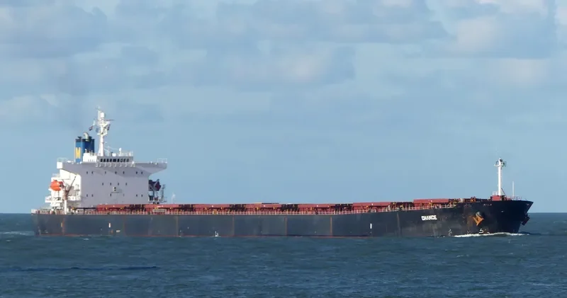 CHOLA TREASURE Bulk Carrier IMO 9244817 photo 3