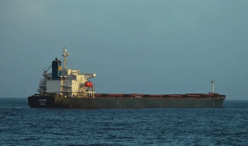 CHOLA TREASURE Bulk Carrier IMO 9244817 photo 4