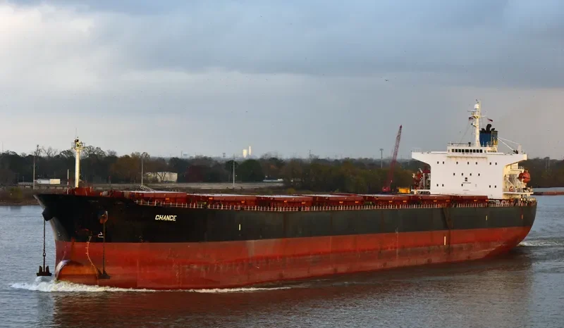 CHOLA TREASURE Bulk Carrier IMO 9244817 photo 5
