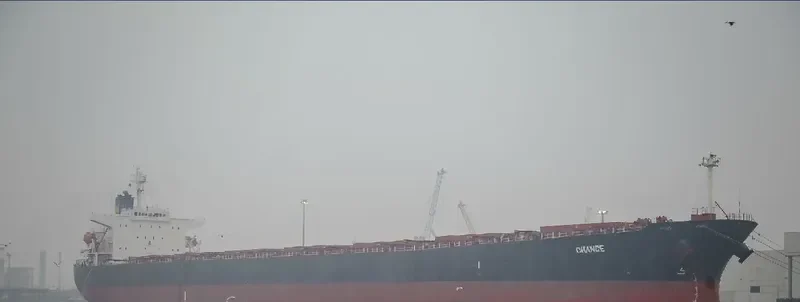 CHOLA TREASURE Bulk Carrier IMO 9244817 photo 6