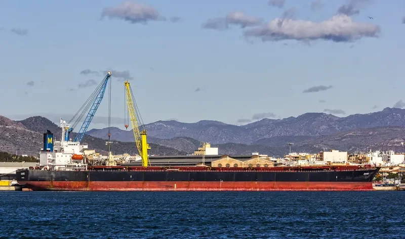 CHOLA TREASURE Bulk Carrier IMO 9244817 photo 8