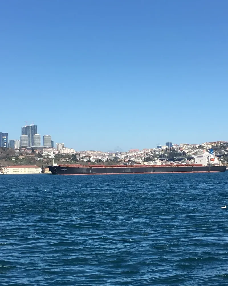 LEVANTES Bulk Carrier IMO 9244829 photo 5