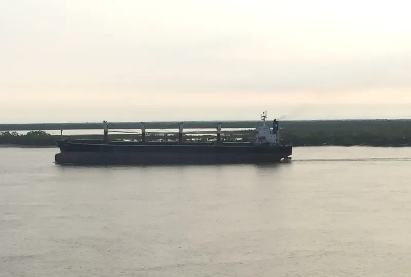 ASI M Bulk Carrier IMO 9244843