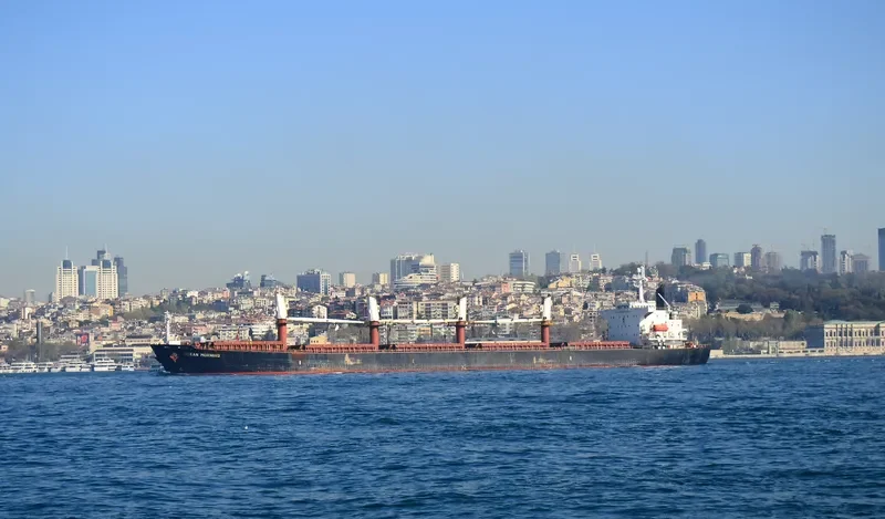 ASI M Bulk Carrier IMO 9244843 photo 6