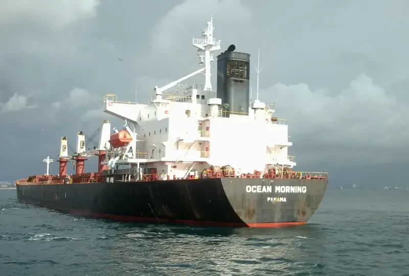 ASI M Bulk Carrier IMO 9244843 photo 7
