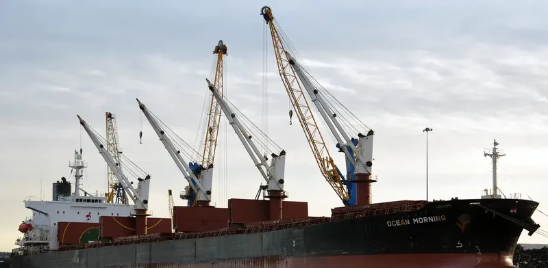 ASI M Bulk Carrier IMO 9244843 photo 10