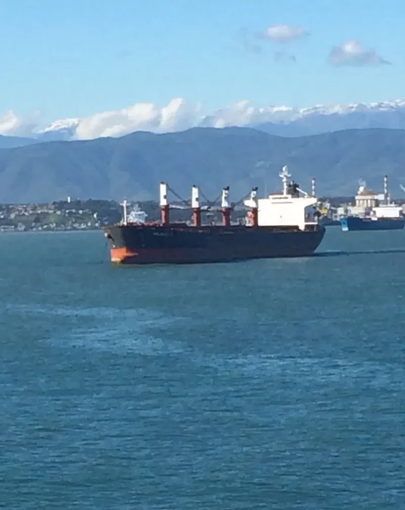 HS LUCK Bulk Carrier IMO 9244855