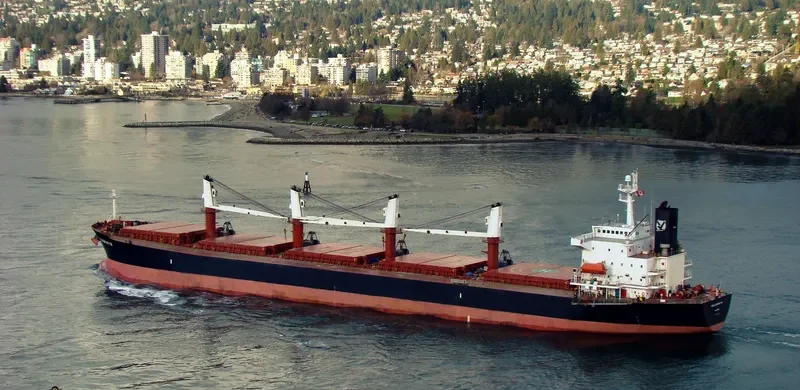 HS LUCK Bulk Carrier IMO 9244855 photo 2