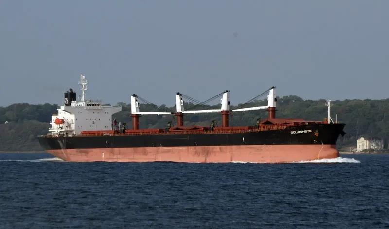HS LUCK Bulk Carrier IMO 9244855 photo 3