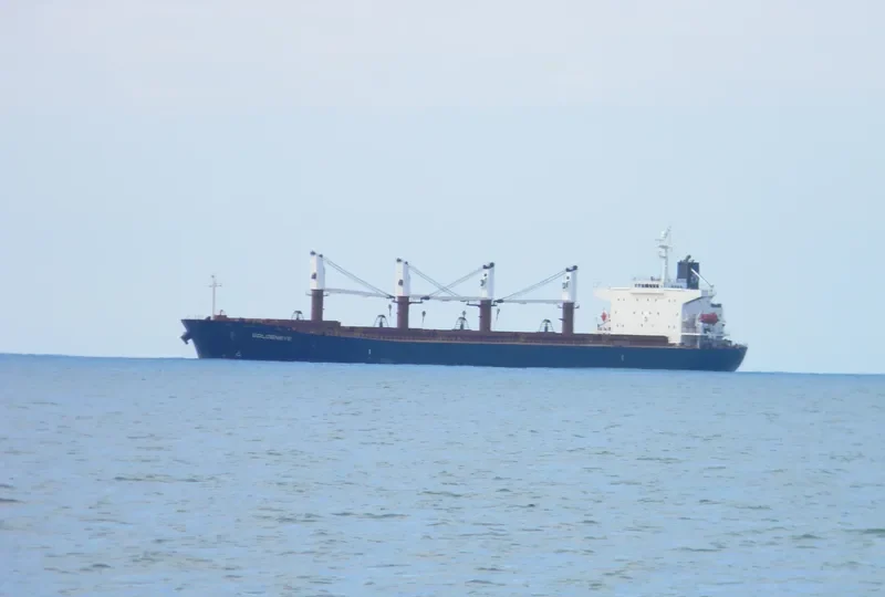 HS LUCK Bulk Carrier IMO 9244855 photo 4