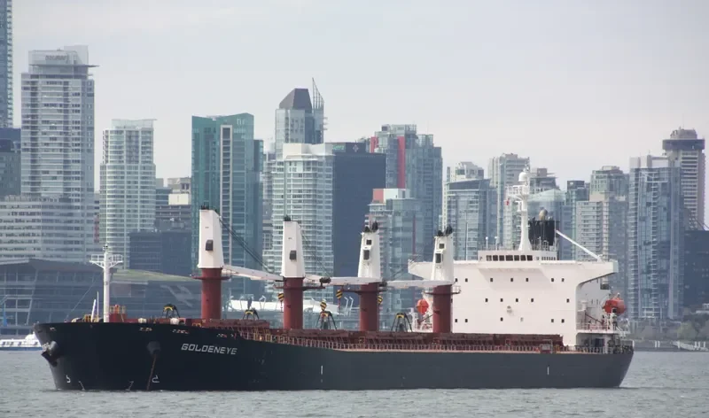 HS LUCK Bulk Carrier IMO 9244855 photo 5
