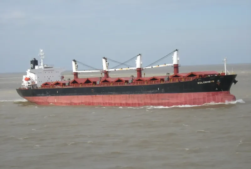 HS LUCK Bulk Carrier IMO 9244855 photo 7