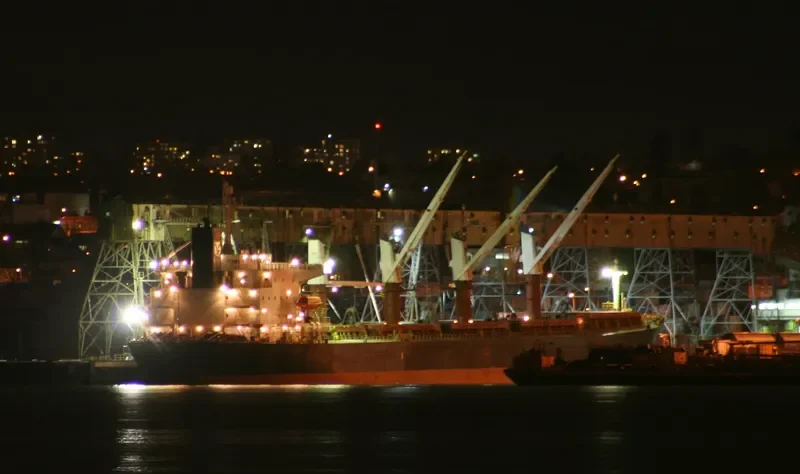 HS LUCK Bulk Carrier IMO 9244855 photo 8