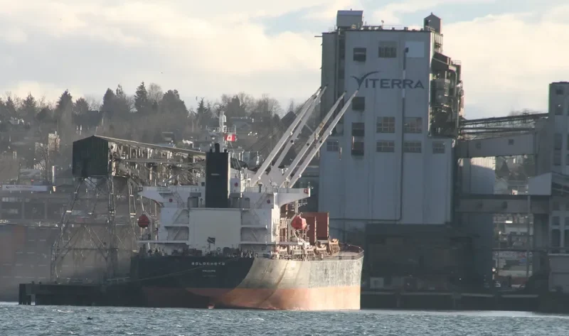 HS LUCK Bulk Carrier IMO 9244855 photo 9