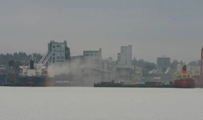 HS LUCK Bulk Carrier IMO 9244855 photo 10