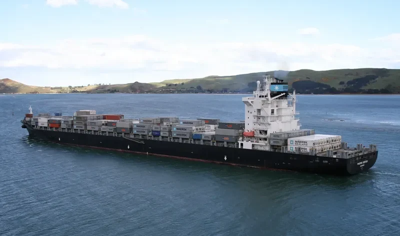 MSC ARUSHI R. Container Ship IMO 9244881 photo 2