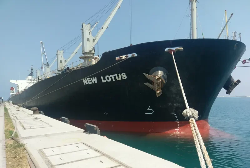 NEW LOTUS Bulk Carrier IMO 9244893