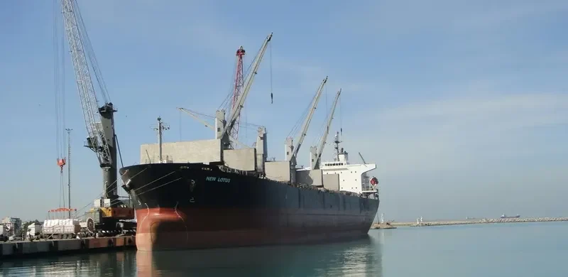NEW LOTUS Bulk Carrier IMO 9244893 photo 7