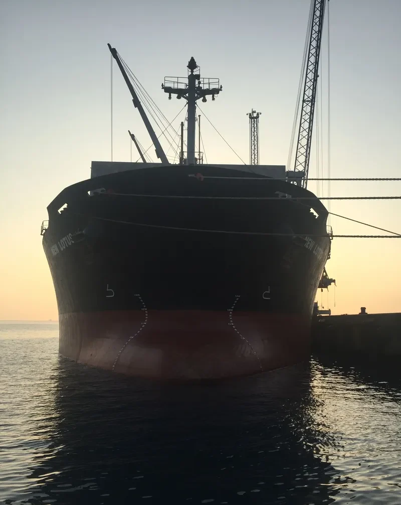 NEW LOTUS Bulk Carrier IMO 9244893 photo 8